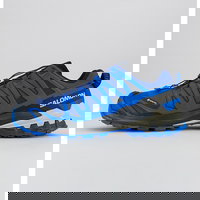 Pantofi pentru alergare XA Pro 3D V9 GTX, Salomon