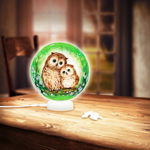 Puzzle 3D glob din plastic Pintoo - Owls and Kittens in the Green Forest, 60 piese (J1012), Pintoo