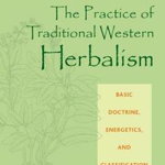 The Practice of Traditional Western Herbalism: Basic Doctrine, Energetics, and Classification - Matthew Wood, Matthew Wood