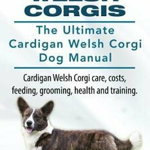 Cardigan Welsh Corgis. the Ultimate Cardigan Welsh Corgi Dog Manual. Cardigan Welsh Corgi Care