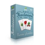 Joc Montessori Lumea plantelor, Editura Gama, 2-3 ani +, Editura Gama