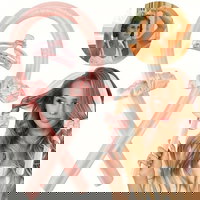 Kit pentru ondularea parului, OEM