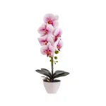 Orhidee cu aspect natural in ghiveci ceramic alb, H 47 cm / CD3545-roz pal, 
