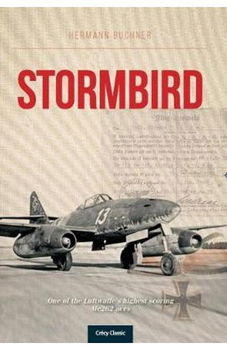 Stormbird