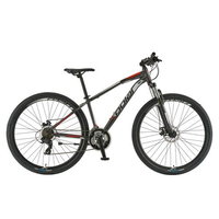 Bicicleta Mtb Polar Wizard 1.0 - 29 inch S-M Gri-Rosu