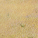 Folie autocolanta stralucitoare 18-7415, sclipici auriu, 0.45 x 15 m, Mathaus