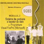 Informatica M2 - Clasa 12 - Manual - Mariana Milosescu, Mariana Milosescu