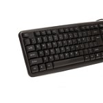 KIT Tastatura si Mouse Spacer SPDS-S6201 cu fir, USB, tastatura „SPKB- S62" + mouse optic „SPMO-F01", black, „SPDS-S6201”, SPACER
