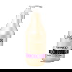 Sampon pentru par vopsit Colour, 1000ml, Sleek Line, Sleek Line