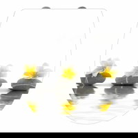 Capac de toaleta cu sistem automat de coborare Stones with Flowers Acrylic, Wenko, 45 x 38.8 cm, duroplast/acrilic, multicolor, Wenko