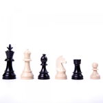 EduChess - set sah scoala la tub