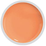 COVER COLOR GEL FSM 069 - CC-069 - Everin.ro, FSM