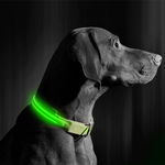Zgarda Led Cu Baterie, Marimea S, Verde