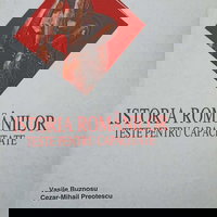 Octavian Cotescu, o altfel de poveste - Dan-Silviu Boerescu, 