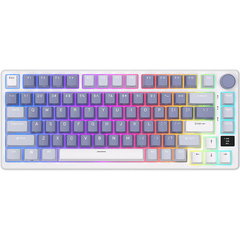 Tastatura mecanica fara fir Royal Kludge RKM75 RGB, switch argintiu (albastru)