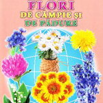 Flori de campie si de padure - Silvia Ursache