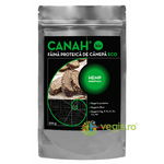 Faina Proteica de Canepa Ecologica/Bio 500g, CANAH