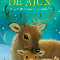 Noaptea de Ajun. 10 povesti magice cu animalute, Litera