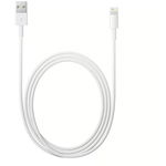 Apple Lightning to USB Cable (2