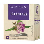 Ceai de Tataneasa, Dacia Plant