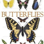 Butterflies Ultimate Sticker Book