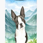 Caroline`s Treasures Flori de munte Boston Terrier Tall Boy Izolator de băuturi Hugger Mltcl, 