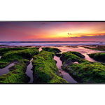 Ecran profesional Samsung QB98T