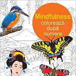 Coloreaza dupa numere - Mindfulness - David Woodroffe - carte - DPH, DPH - Didactica Publishing House