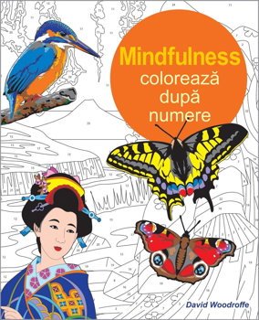 Coloreaza dupa numere - Mindfulness - David Woodroffe - carte - DPH, DPH - Didactica Publishing House