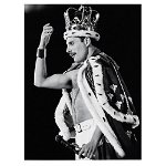 Tablou canvas portret Freddie Mercury Queen in alb negru 1022 - Material produs:: Tablou canvas pe panza CU RAMA, Dimensiunea:: 30x40 cm, 