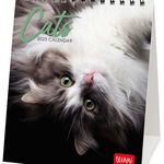 Calendar de birou 2023 - Cats | Legami