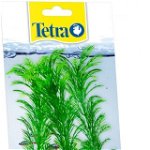 DecoArt Plant L Green Cabomba, Tetra