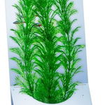 DecoArt Plant L Green Cabomba, Tetra