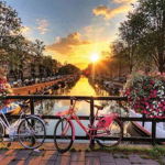 Puzzle Gold Puzzle - Sunrise in Amsterdam, 1.000 piese (Gold-Puzzle-61543), Gold Puzzle