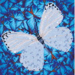 Tablou cu diamante - Fluture alb, Jucaresti