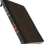Twelve South BookBook Genuine Leather Brown Case Vol. 2 pentru iPad Pro 12.9 inch (2020)