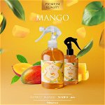 Spray de camera Mango 500 ml Engross
