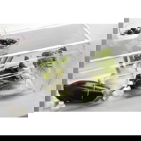 Frigider cu o usa Electrolux LRS1DF39W, 388 l, Clasa F, Dynamic Air, OptiSpace, H 186 cm, Alb Frigider cu o usa Electrolux LRS1DF39W, 388 l, Clasa F, Dynamic Air, OptiSpace, H 186 cm, Alb