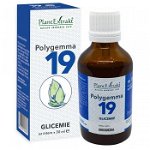 Polygemma 19 Glicemie