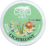 Unguent cicatrizant 40 g, Ceta Sibiu