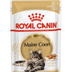 Hrană umedă pentru pisică Royal Canin Maine Coon, 12 buc x 85g