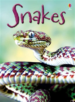 Beginners - Snakes, Usborne