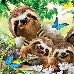 Puzzle Educa - Sloth Family Selfie 500 piese (18450)