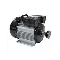 Motor electric monofazat 2.2KW / 3000 RPM (Rusia) - bobinaj cupru, Ronex