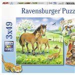 Puzzle animale si pui 3x49 piese ravensburger, Ravensburger