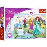 Puzzle Disney Princess - Intalneste printesa, 60 piese