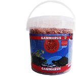 EXO Gammarus 1000 ml
