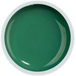 COVER COLOR GEL FSM 060 - CC-060 - Everin.ro, FSM