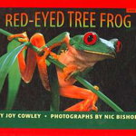 Red-Eyed Tree Frog (Scholastic Bookshelf: Nature)