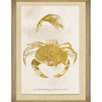 Tablou Framed Art Caribbean Sea Life - Arthropoda Crustacea, 50 x 70 cm